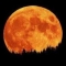 5 maggio 2012, ecco la superluna: come e dove vederla