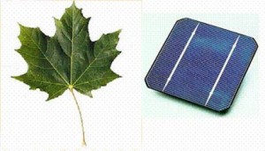 Eccezionale invenzione dal Mit: celle fotovoltaiche che si autoriparano