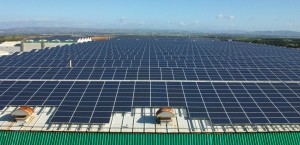 Closing Project Financing di 9,7 milioni di Euro per l’impianto fotovoltaico di Enfinity a Villacidro (VS)