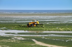 FAVINI: L’ALGA CARTA CONQUISTA LA FRANCIA